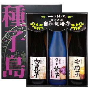 ׃ZbgiLEqE[jTN-300 25x 720mlyq𑢊   Ē {iĒ Mtg 蕨 ̓z