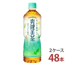 爽健美茶 600mlPET×24本入り [2ケース 48本]【送料無料 コカ・コーラ 2ケース メーカー直送 お茶】