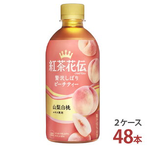 gԓ` NteB[ ґ򂵂ڂs[`eB[ 440mlPET×24{m2P[X 48{ny RJER[ g 2P[X [J[z