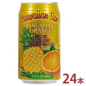 nCAT pCibvIW 340ml×24{yAJ ʏ` W[X \tghN ʁz