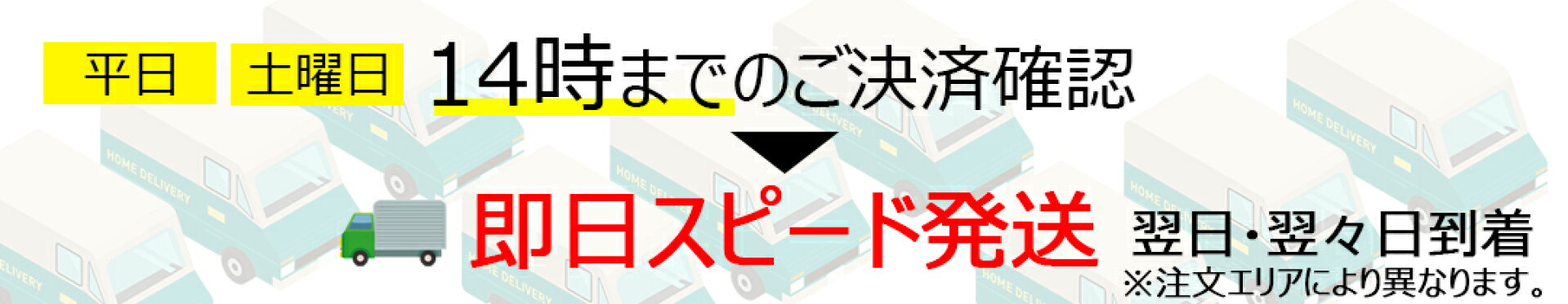 即日発送案内