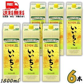 【送料無料】いいちこ 20度 1.8L 1800ml パック　1ケース 6本 麦焼酎 三和酒類【佐川急便限定】【東北・北海道・沖縄・離島の一部を除く（東北・離島は400円、北海道・沖縄はプラス1200円いただきます）】