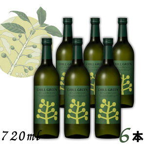 �`���O���[�� �� �X�p�C�V�[&�V�g���X 25�x 720ml �r 1�P�[�X 6�{ CHILL GREEN spicy & citrus �{�^�j�J���n �Ē� ���Ē� �_�c��