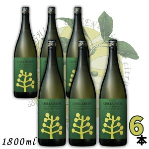 �`���O���[�� �� �X�p�C�V�[&�V�g���X 25�x 1.8L �r 1�P�[�X 6�{ 1800ml CHILL GREEN spicy & citrus �{�^�j�J���n �Ē� ���Ē� �_�c��