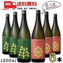 送料無料 チルグリ−ン 25度 1.8L 瓶 緑 スパイシー&シトラス と 赤 ビター＆トロピカル 各3本の 6本 セット CHILL GREEN ボタニカル系 焼酎 麦焼酎 濱田酒造【東北・北海道・沖縄・離島の一部を除く（東北は400円、北海道・沖縄はプラス1200円いただきます）】