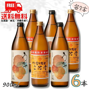  K   25x 900ml r e3{ 6{ Zbg Ē K _c𑢁ykEkCEËꕔik400~AkCE̓vX1200~܂jz