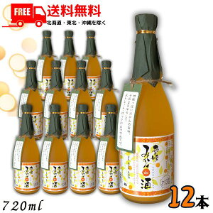  Q ݂de Ђ ݂ł 720ml r 1P[X 12{ ݂ B݂ ^݂ L[ ߓ𑢁ykEkCEËꕔik400~AkCE