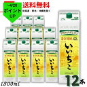 【2ケース送料無料】いいちこ 25度 1.8L 1800ml パック　2ケース 12本 麦焼酎 三和酒類【東北・北海道・沖縄・離島の一部を除く】