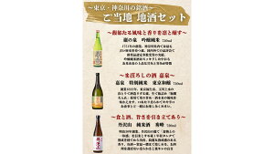 酒屋のお薦め 東京・神奈川の銘酒 ご当地地酒 セット  嘉泉 丹沢山 巌之泉 720ml 3本 ギフト 箱入り 贈り物 贈答用 季節のご挨拶 ハレの日 感謝 大切な人へ 手持ち 二重包装 のし 地酒