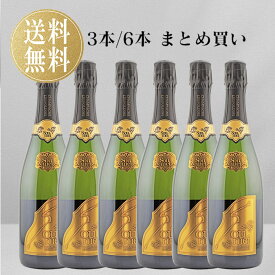 【まとめ買い】 正規品 ソウメイ ブリュット 白 ソウメイブリュット セット soumei brut シャンパン 高級シャンパン シャンパーニュ 辛口 フランス 誕生日 プレゼント ギフト お祝い クラブ パーティー ハロウィン ソウメイジャパン ソウメイシャンパン ゴールド 送料無料
