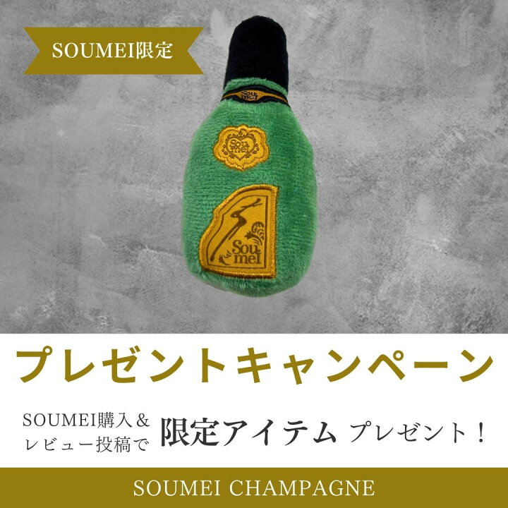 楽天市場】【正規品】【送料無料】ソウメイ プラチナ 箱付き ソウメイ  