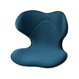 スタイル スマート(Style SMART) MTG(エムティージー) [メーカー純正品] 姿勢矯正 腰痛 骨盤サポートチェア 座椅子 (ネイビ