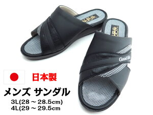 yzYT_ 850 { 28cm 29cmamp ItBX rbNTCYLOTCY T_ cbJP [h v傫TCY jp ubN 3L 4L