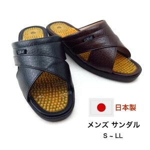 M.M.M GX[ MS110 BK `RY T_ rWlX ItBX {NT_ C{C{ wbv [h PTrWlX ItBX    