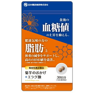 ê{GO_ 54gi 300mg×180 jy @\\Hi i͏oԍFI32jzu Ck GO_ e Tv  l b 얞C {AH Ȟl̏㏸}