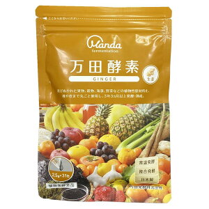 cyf GINGERiWW[j y[Xg ^Cv 2.5g×31 [֑