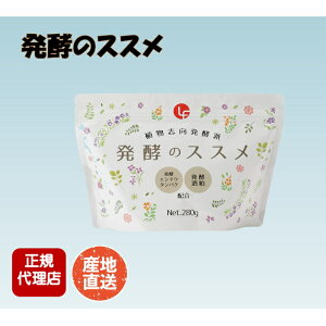 ỹXX 280g×1 veC  e A GhE   @GGt YnI K㗝X