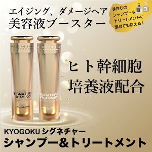 KYOGOKU VOl`[Vv[g[ggiqgזEzje 120ml qgזE|{t єet  傤 K㗝X