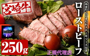 {苍[Xgr[t 250g ܂Xe[L\[Xt gvJ{  Ε Mtg v[g 蕨 |Cg Yn K㗝X