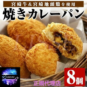 {苍J[p 8 ĂJ[p{苍4+{n{4 J[p gvJ{  Ε Mtg v[g 蕨 |Cg Yn K㗝X