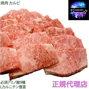 _˃r[t _ˋēp ēp Jr 1kg {Hi i Mtg  蕨 Yn K㗝X