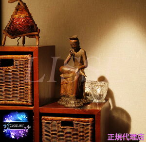 CX ӕF ݂낭ڂ CX |Xg[ Standard CeA AWAG u  [J[ Ki戵X