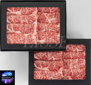 ܘaiA5jāEԂ 700g j Ε  Mtg  񂹃O l ΈHi Yn K㗝X