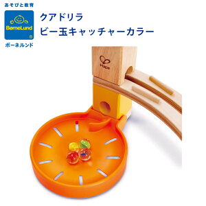 {[lh@NAh r[ʃLb`[ ǉp[c ςݖ m {Ki