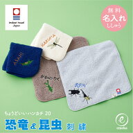 今治タオル ハンカチ 恐竜 昆虫 名入れ お名前 刺繍 ちょうどいいハンカチ20 お名前 ハンドタオル 20cm …