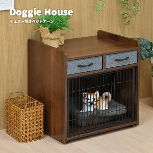 yN[|zzzybgP[W [t P[W  L ybg Ƌ T[N ^ bNX o t@ubN`FXg hbOnEX hbOP[W 킢   ؖ