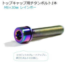 トップキャップ用チタンボルト 1本 M6×30mm 美しいレインボー仕上げ 軽量 高耐久 自転車 カスタム パーツ ハンドル パーツ 高耐久 ワッシャー付 ロードバイク クロスバイク マウンテンバイク