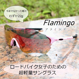 [hoCNq̂߂̒yʃTOXwt~SxAbvO[hfiΌY̗pjACEFA X|[cTOX y WMO jO EH[LO gbL