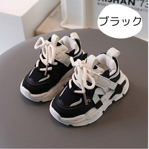 _ubNtCf[P20{^LbYXj[J[ JWAXj[J[  _bhXj[J[ Xj[J[LbY qXj[J[ 킢 q̌C qC qC LbYV