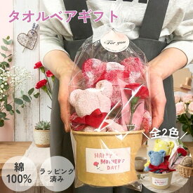 母の日 タオルギフト カップ に入った タオルベア 2個 + 造花カーネーション カーネーション ギフト タオルベア カップ セット フェイスタオル ベア タオルハンカチ ベア タオル プレゼント お母さん ママ 贈り物 喜ばれる 使える