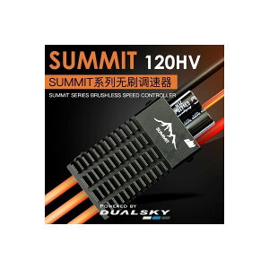 DUALSKY New SUMMIT120HV OPTO�X�s�[�h�R���g���[���[ 21895