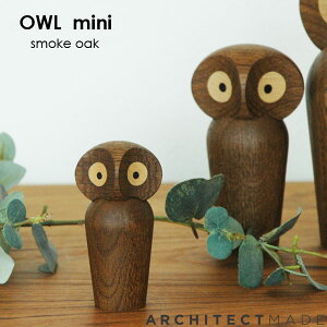 Owl AE tNE X[NI[NE~jTCY ARCHITECTMADE A[LeNgCh f}[N ؐIuWF u kIuWF kCeA kG  킢
