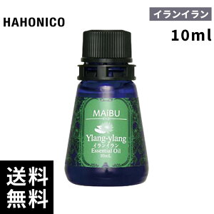 nzjR }Cu zXeBbN GbZVIC CCbs[ CC10mlyŒZo/K戵Xz