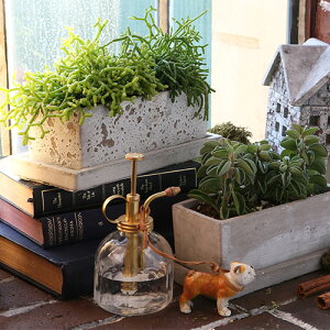 _g(Dulton) SOLID@PLANTER@RECTANGLE \bh v^[ L[u S |bg g  킢   v^[ Aؔ CeA RN[g