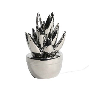 _g(Dulton) PORCELAIN ALOE LIGHT CHROME |[ZAGCg Cg Ɩ  zCg  ドv |[Z AG