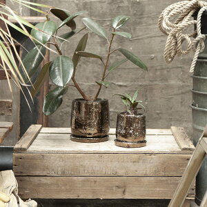 _g(Dulton) ROUND POT BRONZE Eh |bg uY S[h Vo[ g  킢   v^[ Aؔ CeA