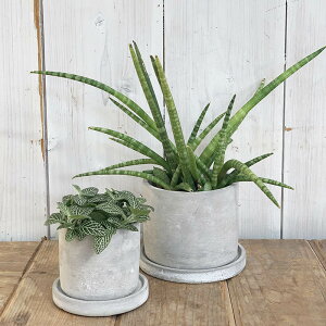 _g(Dulton) CEMENT POT ROUND Zg |bg g  킢   v^[ Aؔ CeA