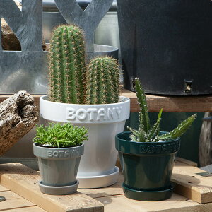 _g(Dulton) BOTANY POT {^j[|bg POT BOTANY re[W |bg g  킢   v^[ Aؔ CeA
