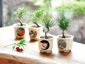 JAPANESEBONSAI gxm ԕxm ͔|Zbg ͔|Lbg S Ă₷ K[fjO 킢 v`Mtg j 蕨 v[g CeA u
