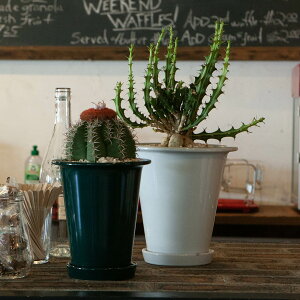 _g(Dulton) BOTANY LONG POT {^j[O|bg S M POT BOTANY re[W |bg g  킢   v^[ Aؔ CeA