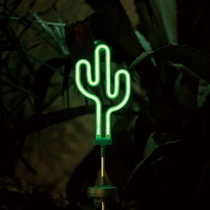 _g(Dulton) CACTUS JN^X SOLAR@NEON@LIGHT \[[lICg lI Cg  CeA g  킢
