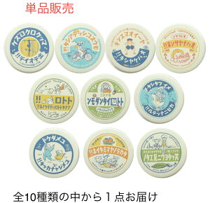 Wu ObY yg̓_zƂȂ̃gg ʃobWRNV^r@X^WIWu@J܂ŉo邩킩Ȃ