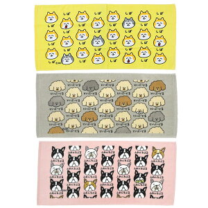 TOWEL ΂ʂ ƂՁ[ǂ邳 ӂ񂿂Ԃ邳 Ȃ[ Ăӂ[ǂ ႤႤ tFCX^I ^I X|[c^I o q 킢 