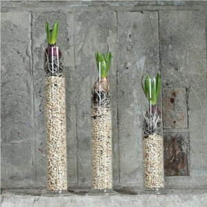 DULTON _g GLASS VASE PROBETA S M KX x[X vx[^ XV_[ ג mb| KXx[X ԓ  KXe ԕr Ȏ  A R[fBl[g CeA K[