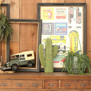 DULTON _gJN^X T{e u VbvfBXv[ Xܑ T^tF C X  ϗtA K655-657D CACTUS D