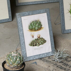 DULTON GALVANIZED FRAME STAND A4 KoiCYh t[ X^h A4 K[W AJ Be[W _ ~bhZ`[ g HƃfUC